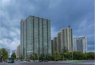 江苏新型移树机成套设备